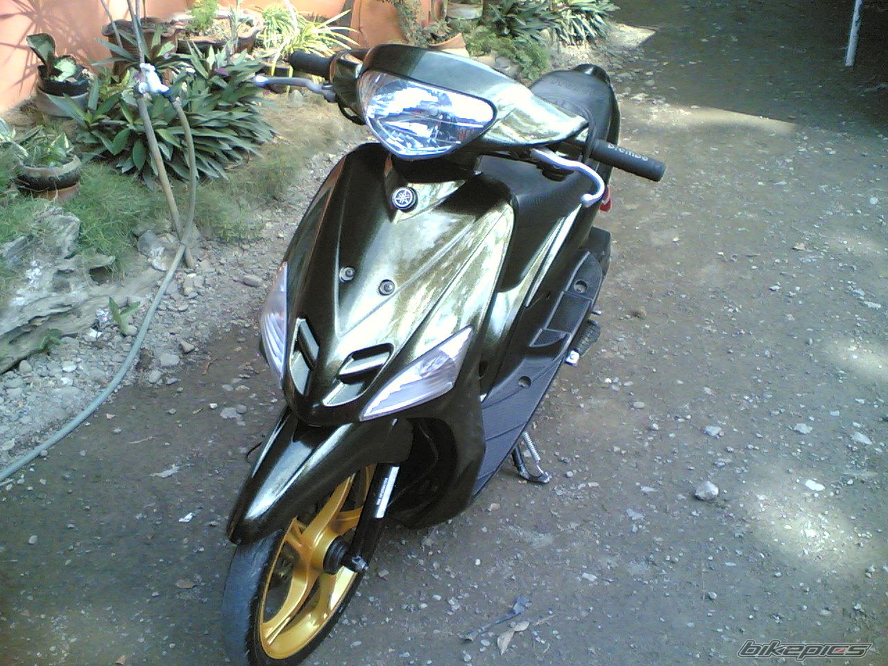 Bike Photo 1833094