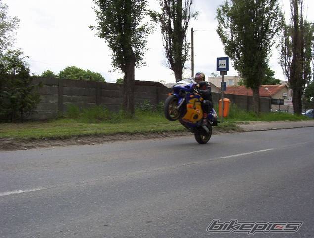 Photo 183319