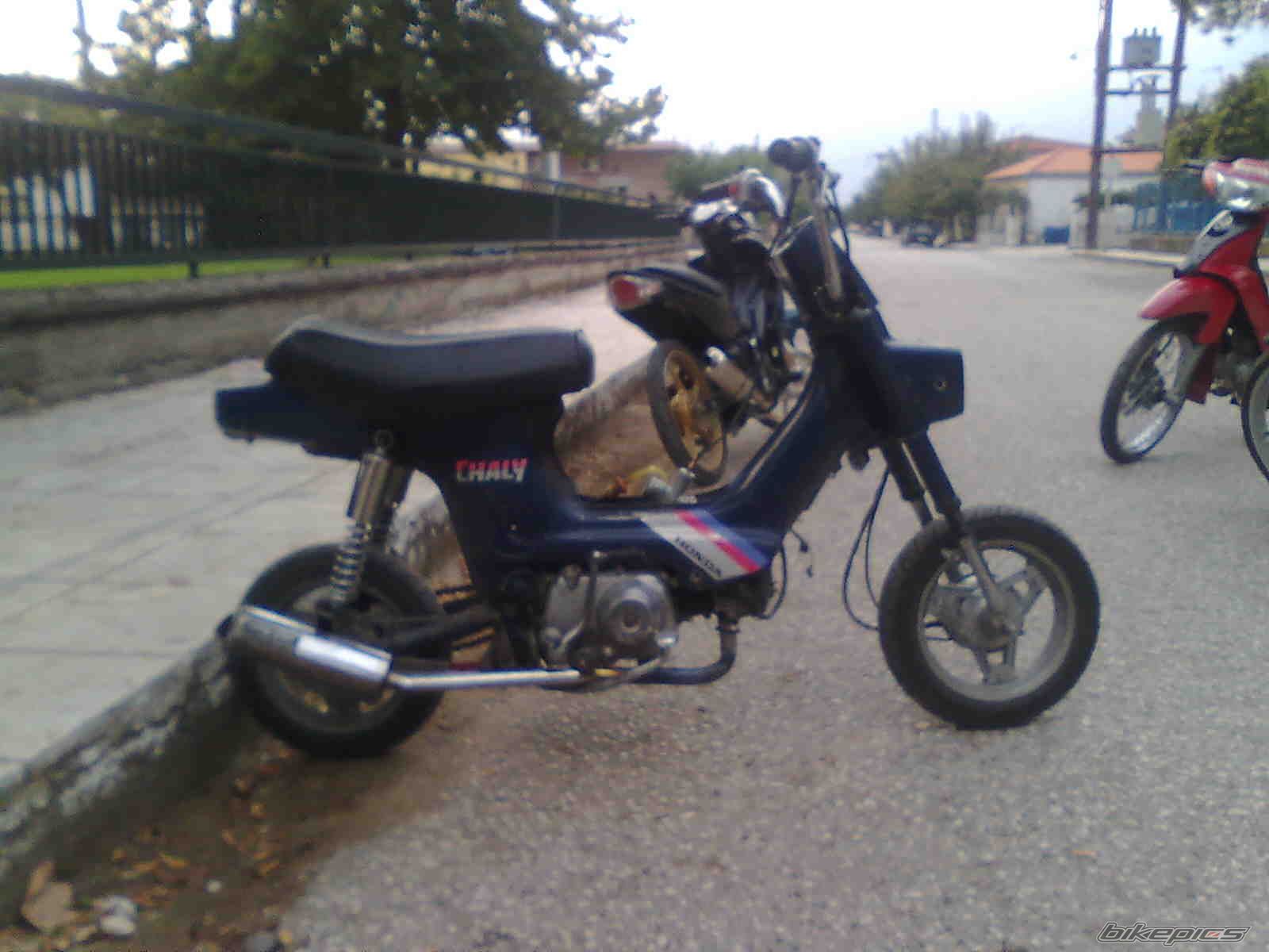 Photo 1833274