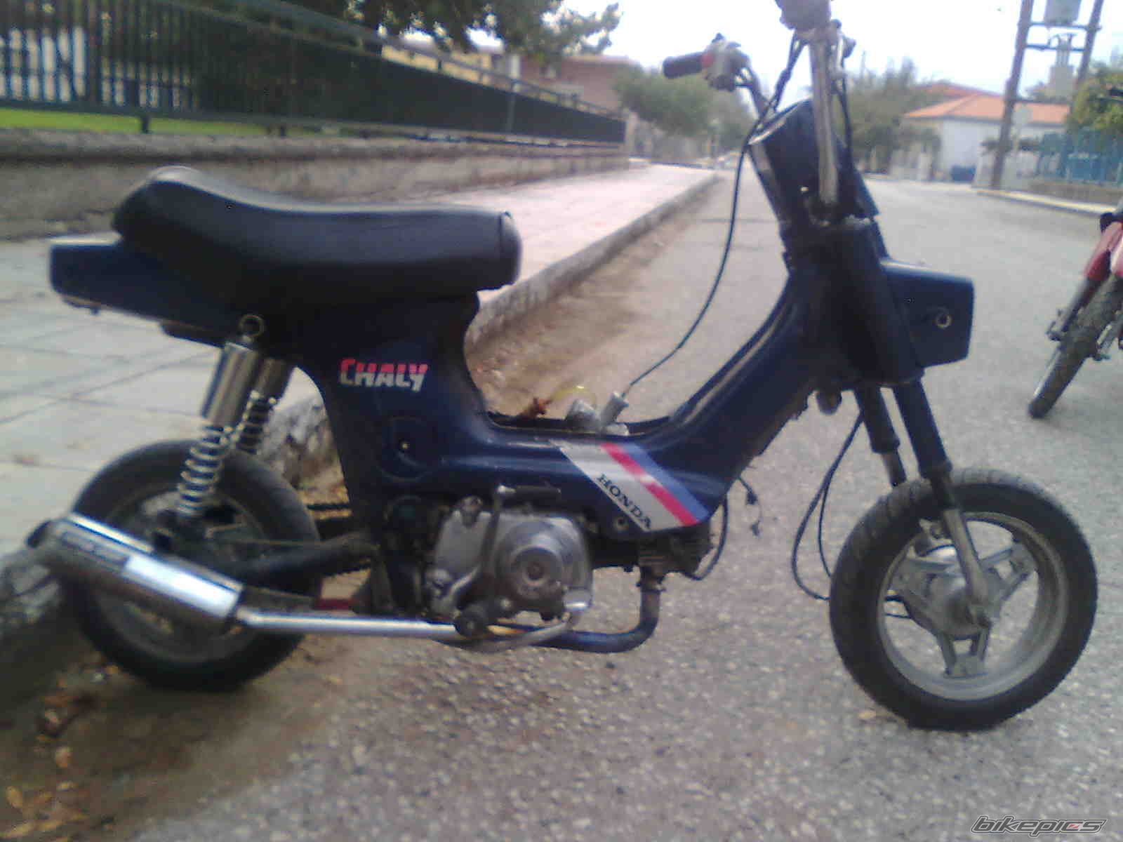 Photo 1833277