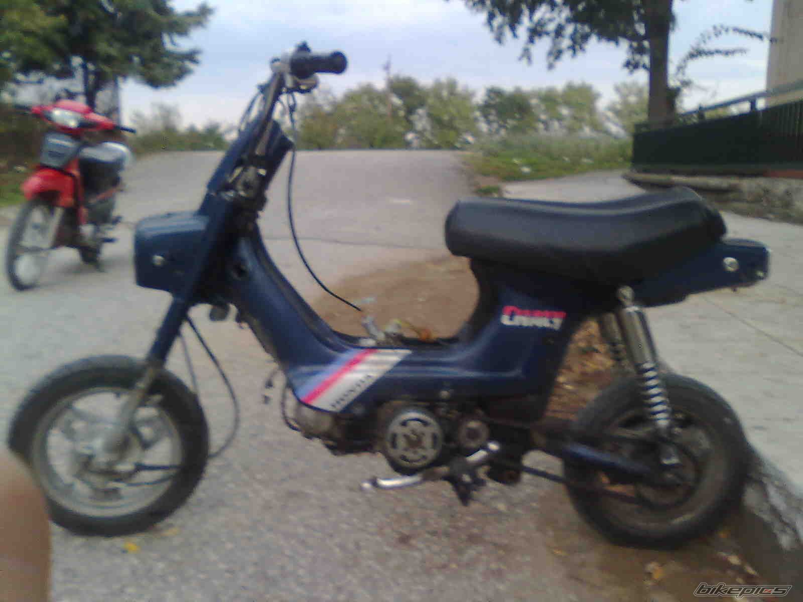 Photo 1833278