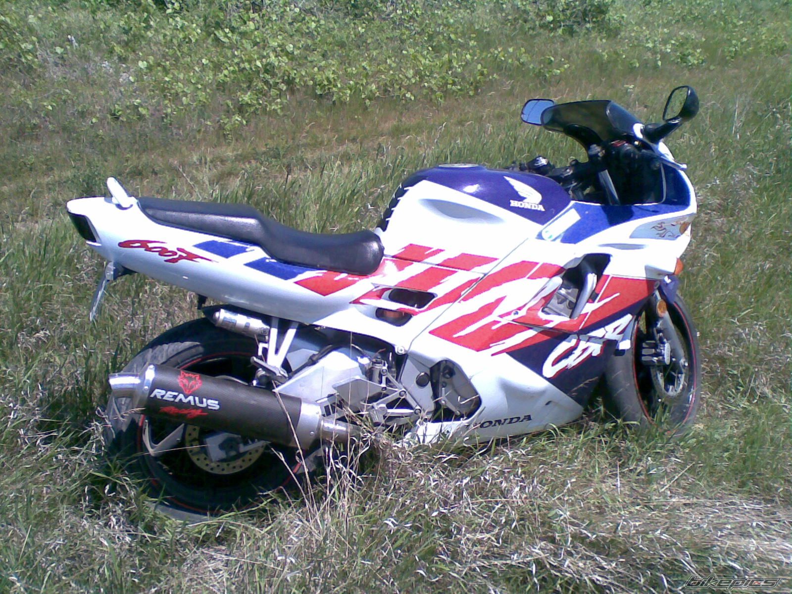 Photo 1833309