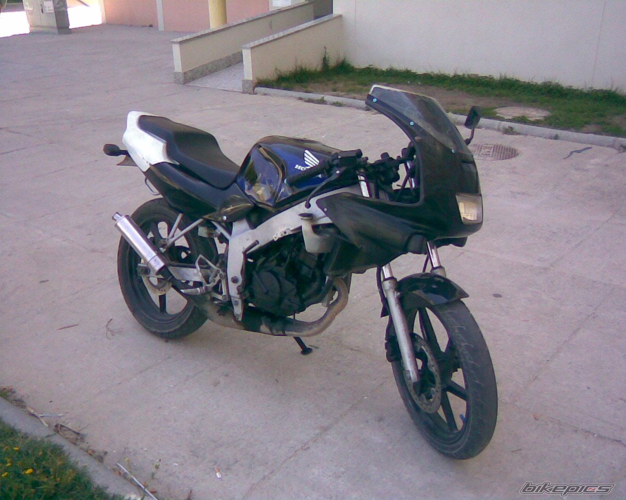 Photo 1833449