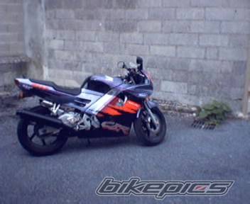 Photo 183356