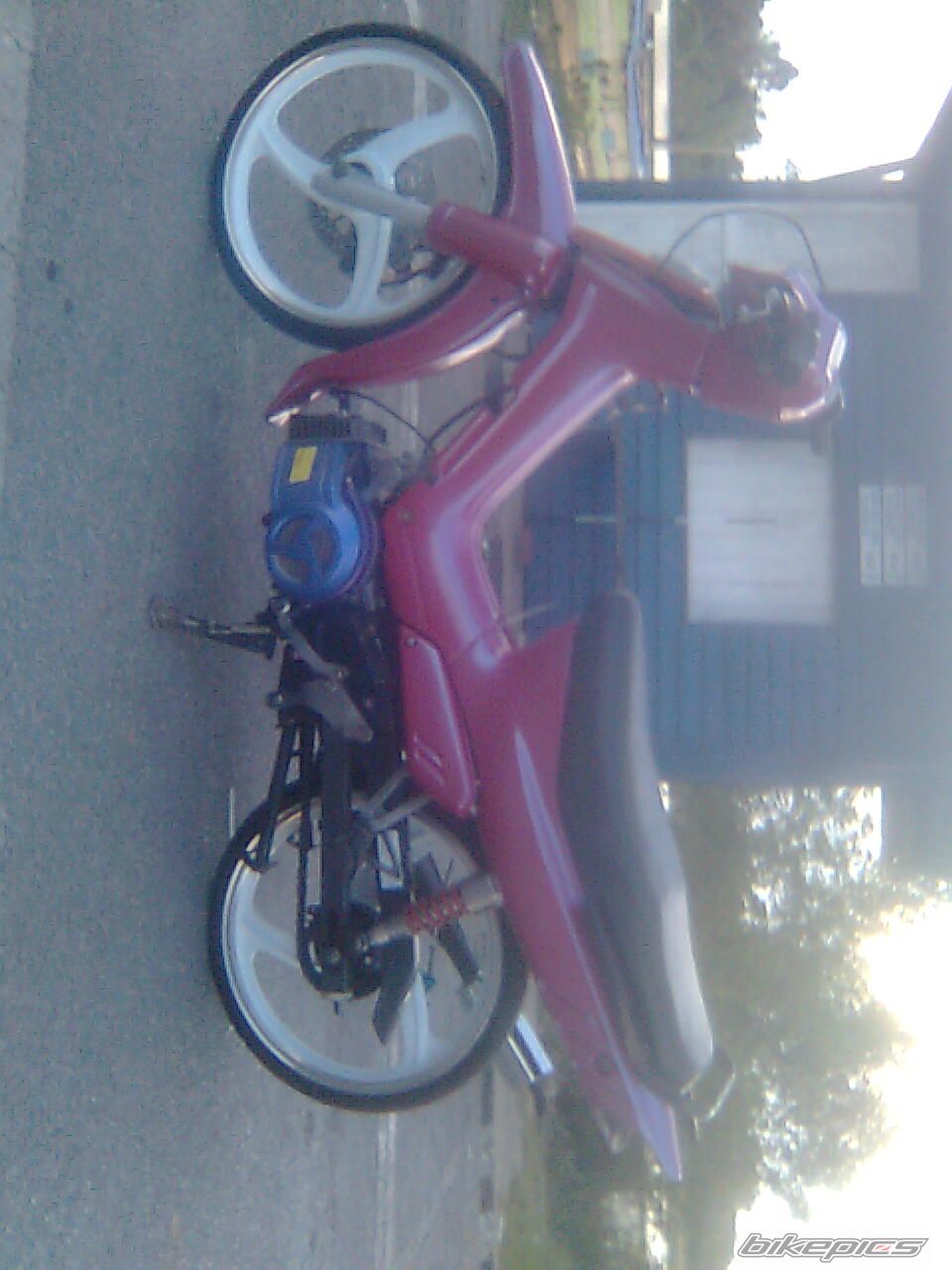 Photo 1833626