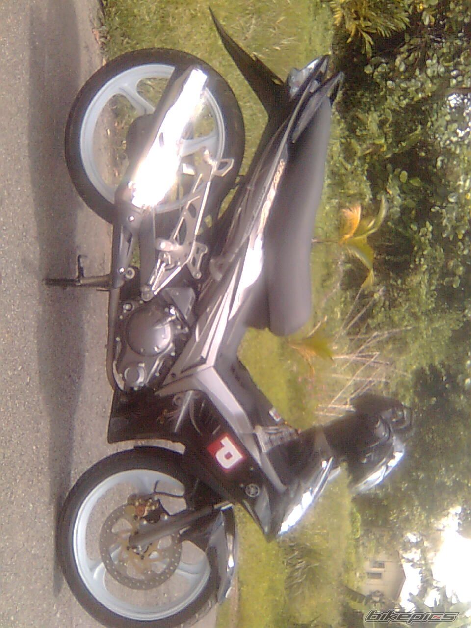 Photo 1833639