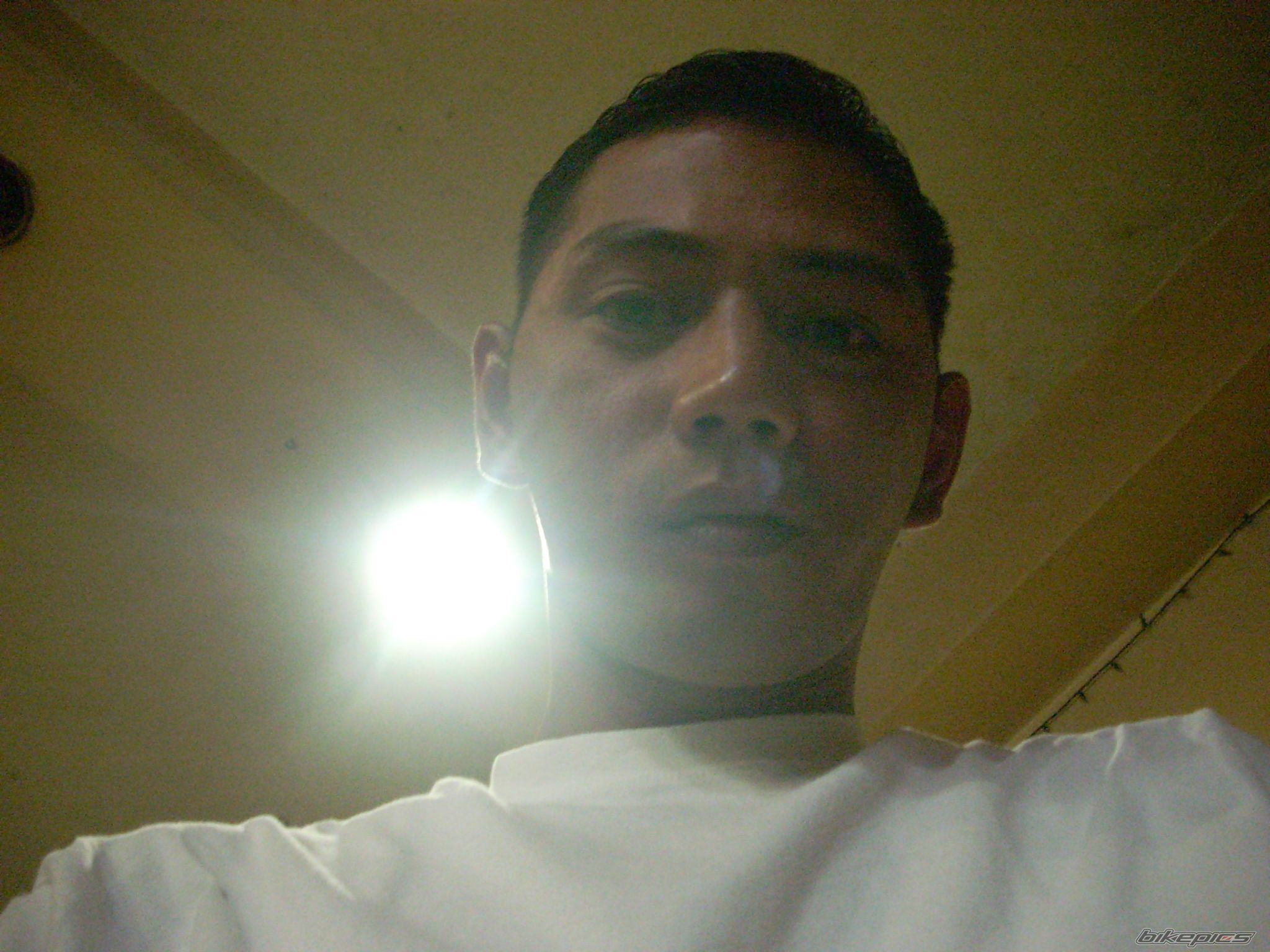 Photo 1833641