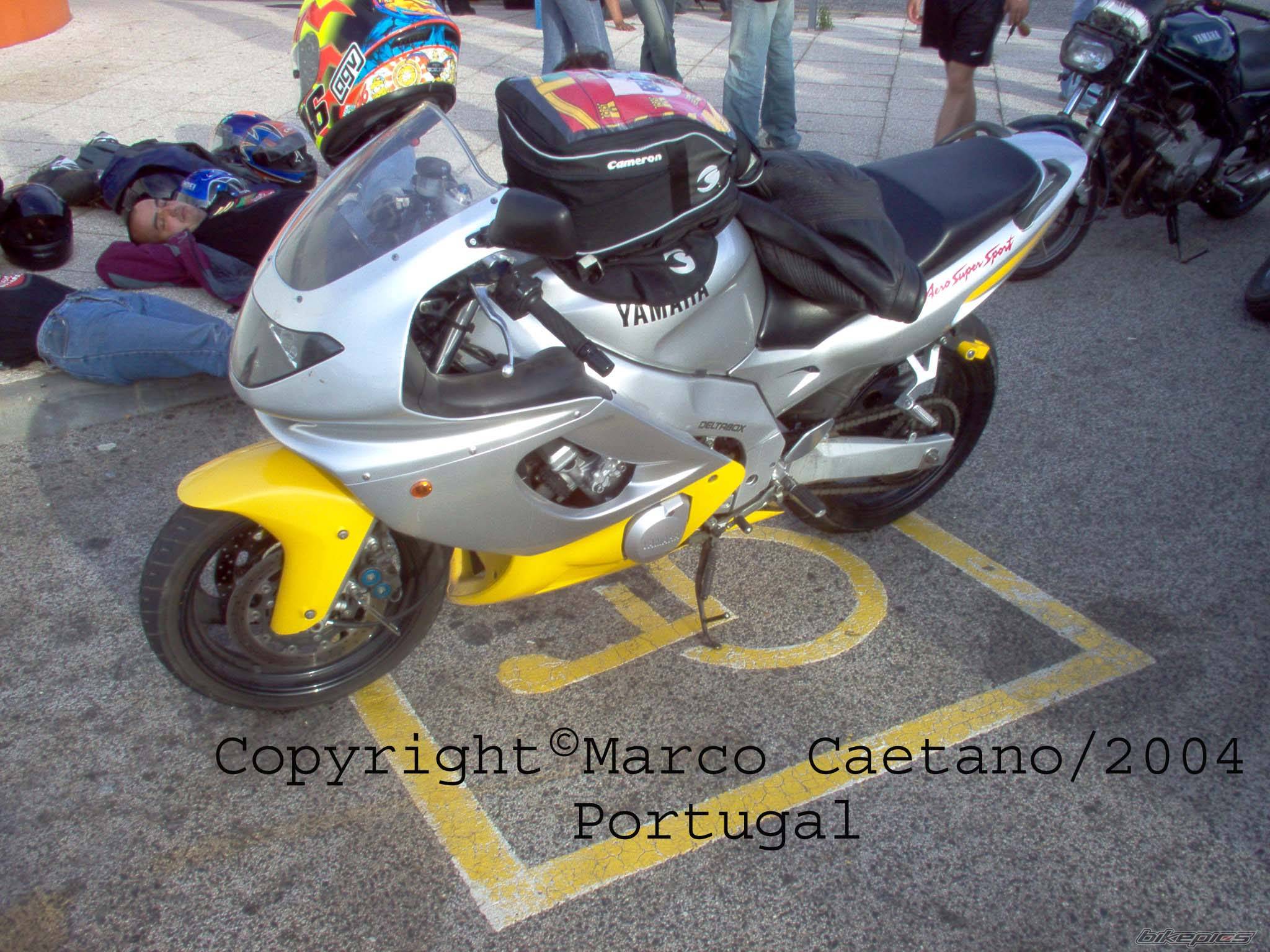 Photo 183374