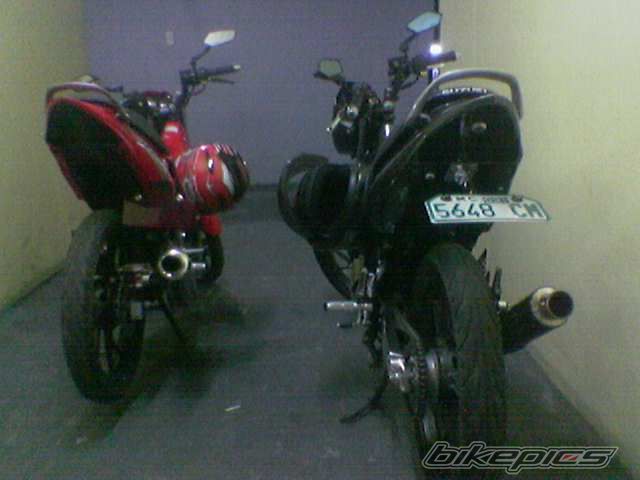 Photo 1833858