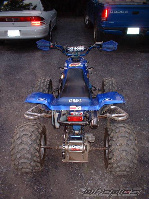 Photo 183398