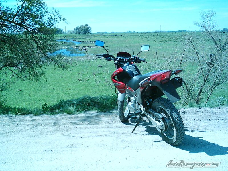 Photo 1834038