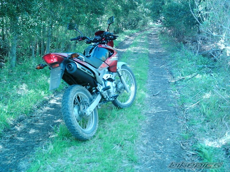 Photo 1834039