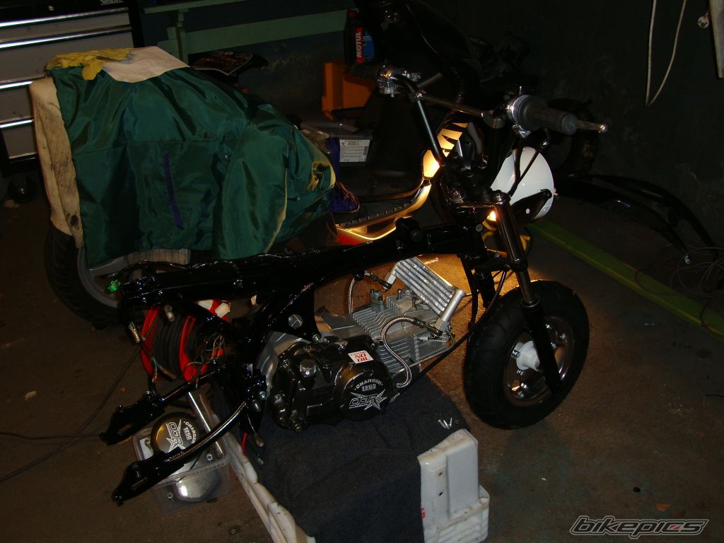Photo 1834054