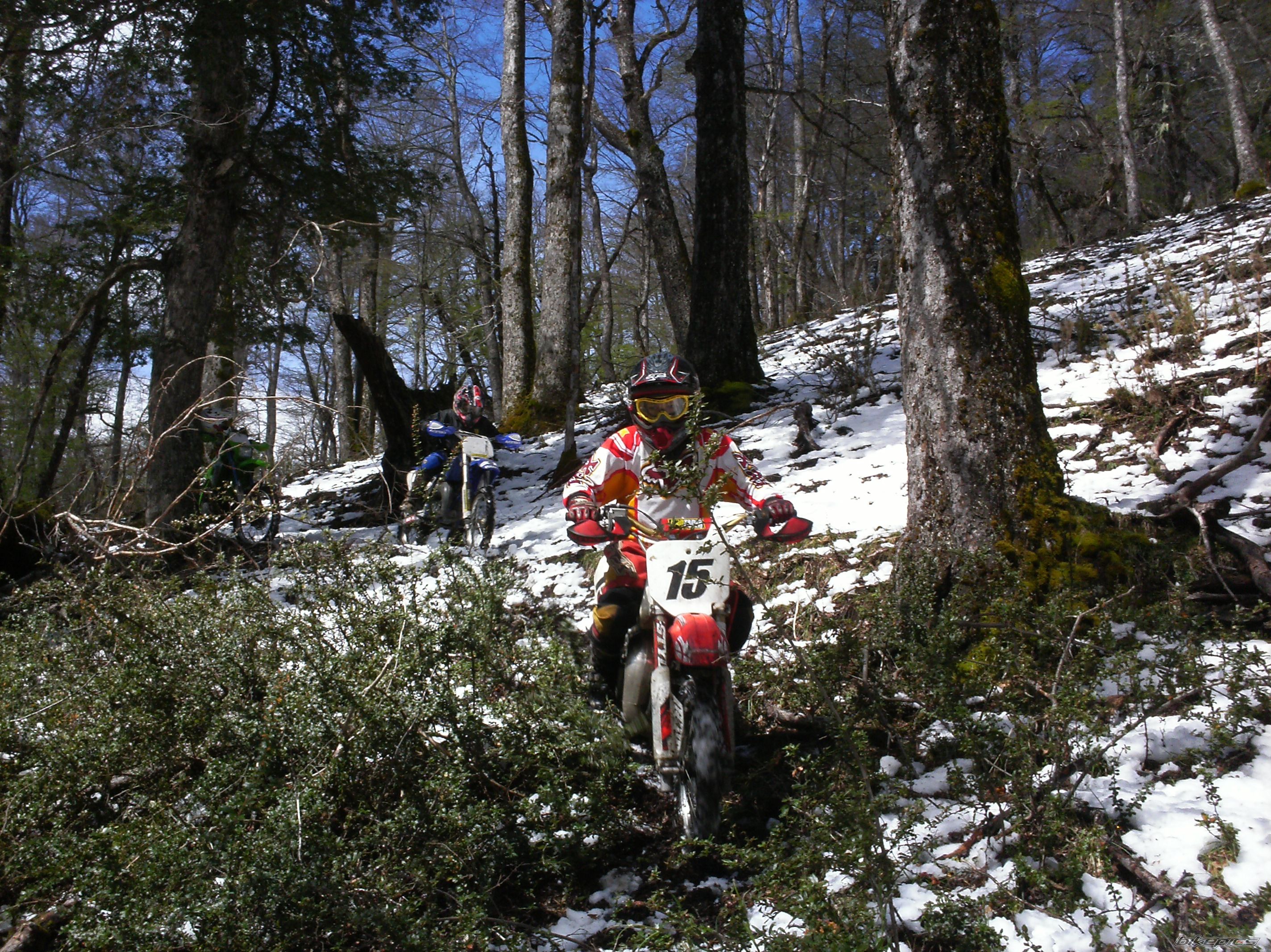 Bike Photo 1834120