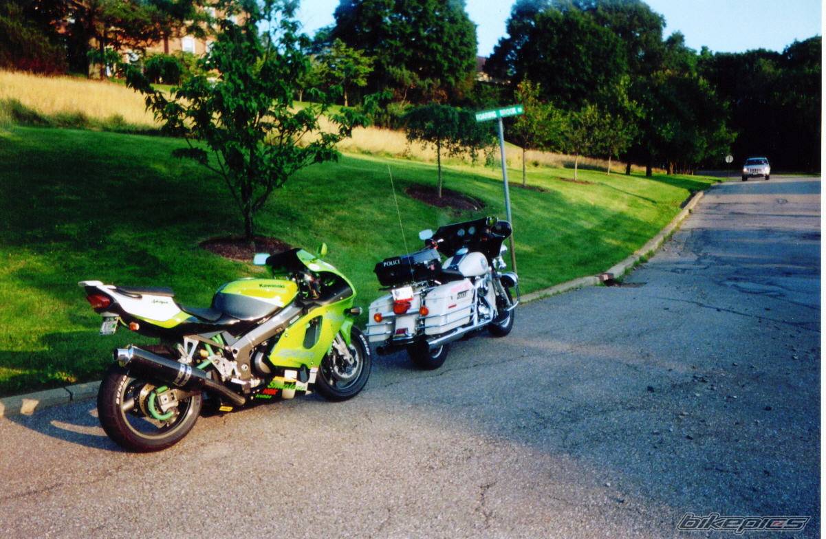 Photo 183415
