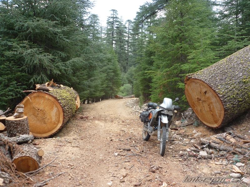 Bike Photo 1834158