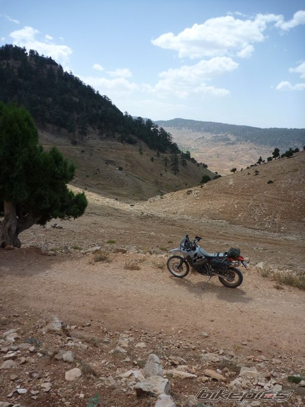 Bike Photo 1834159
