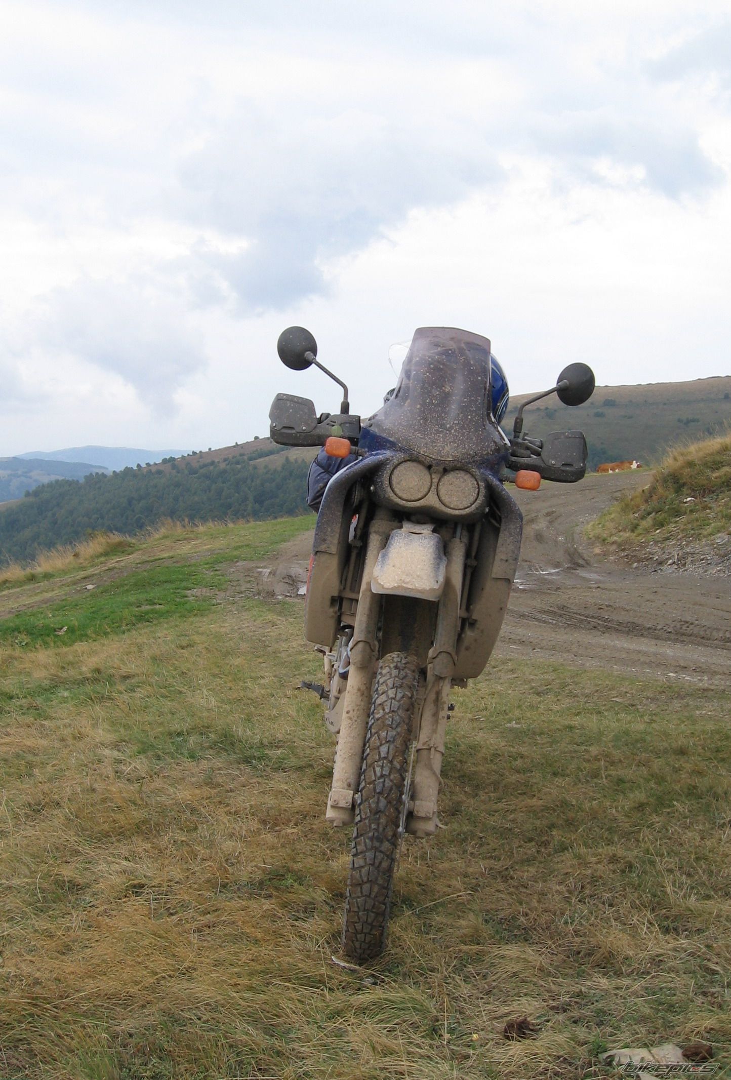 Bike Photo 1834312