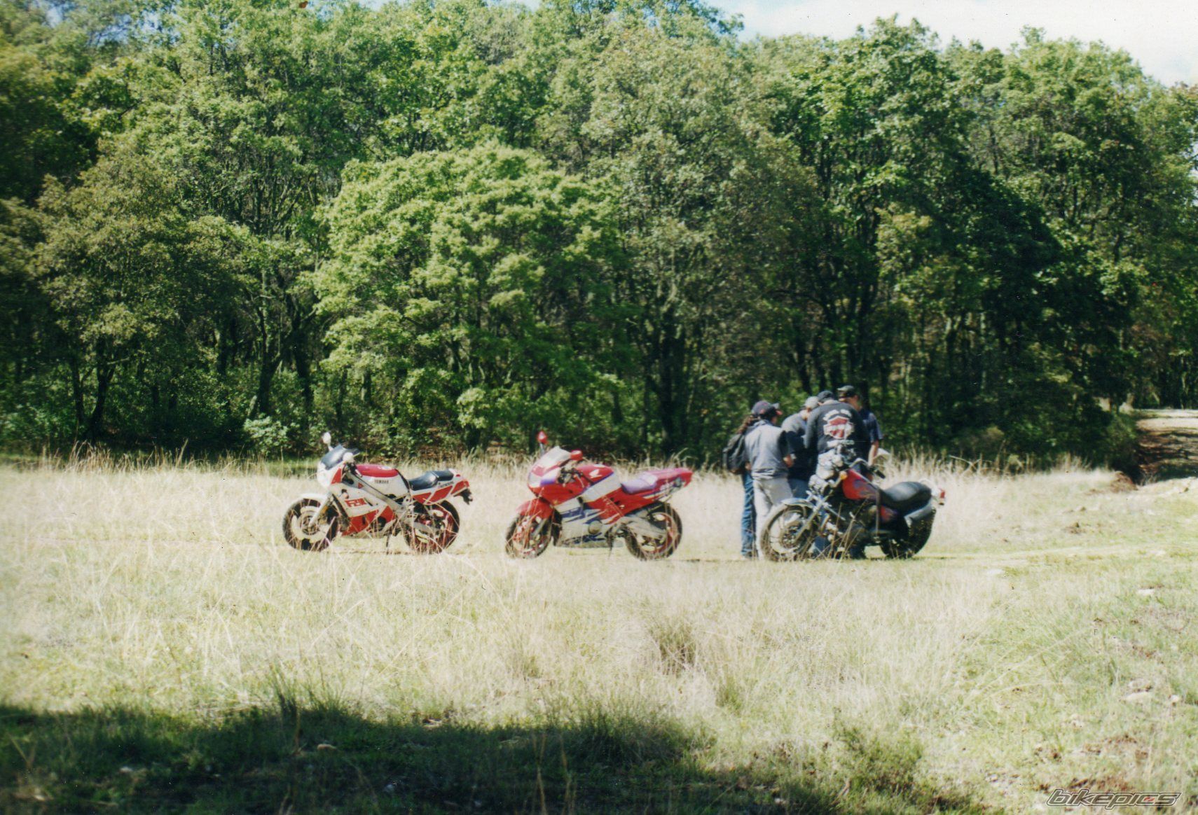 Bike Photo 1834377