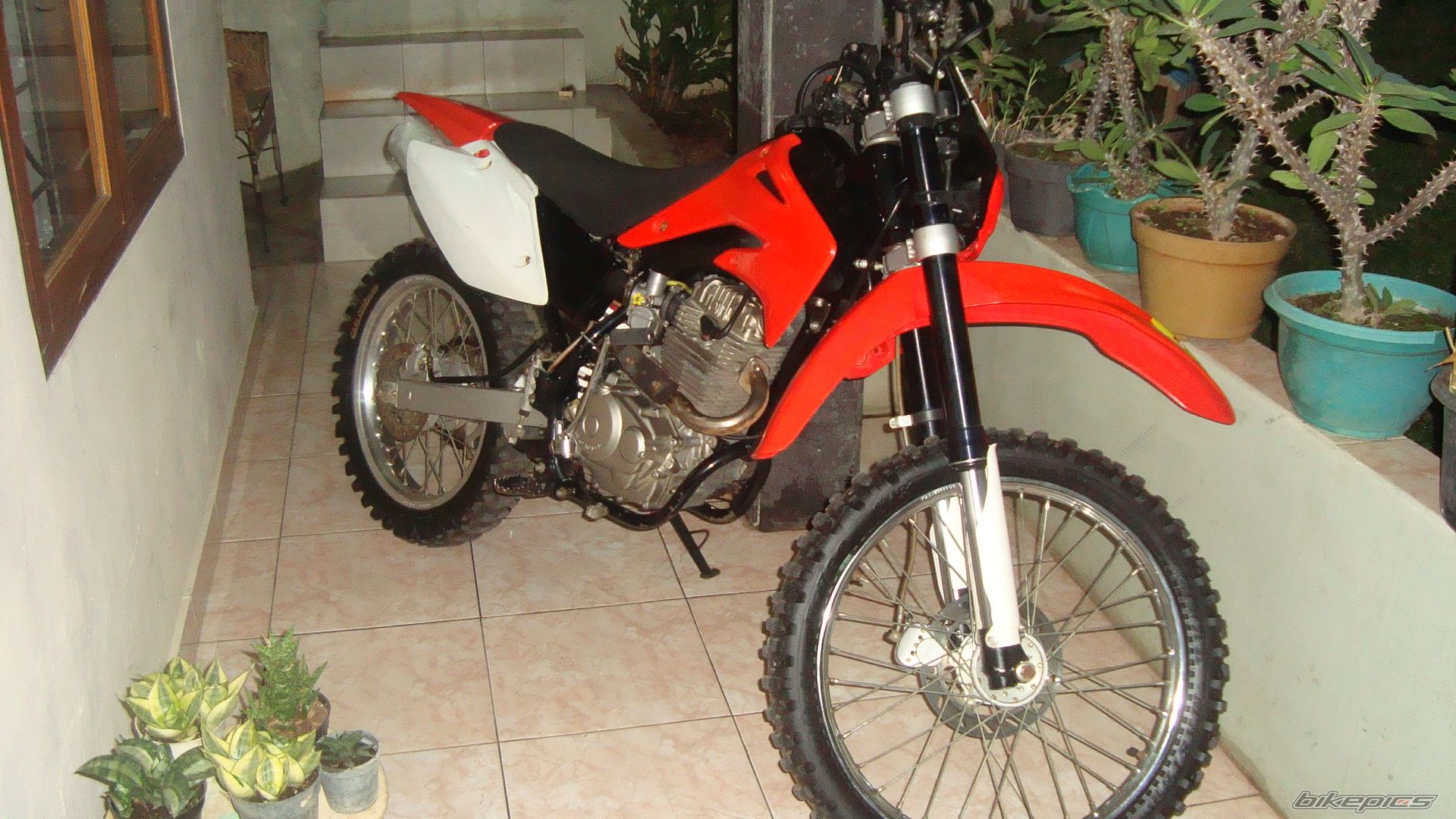 Photo 1834385