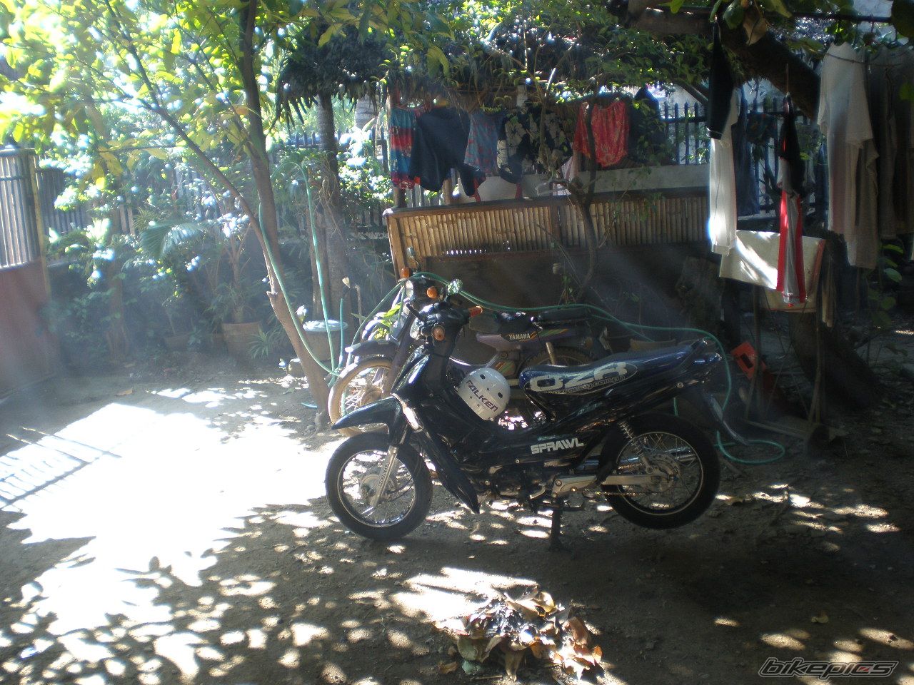 Photo 1834605