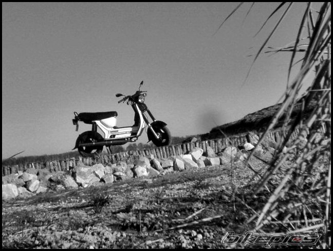 Bike Photo 1834660