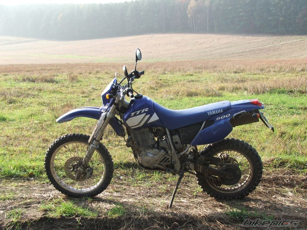 Photo 1834670