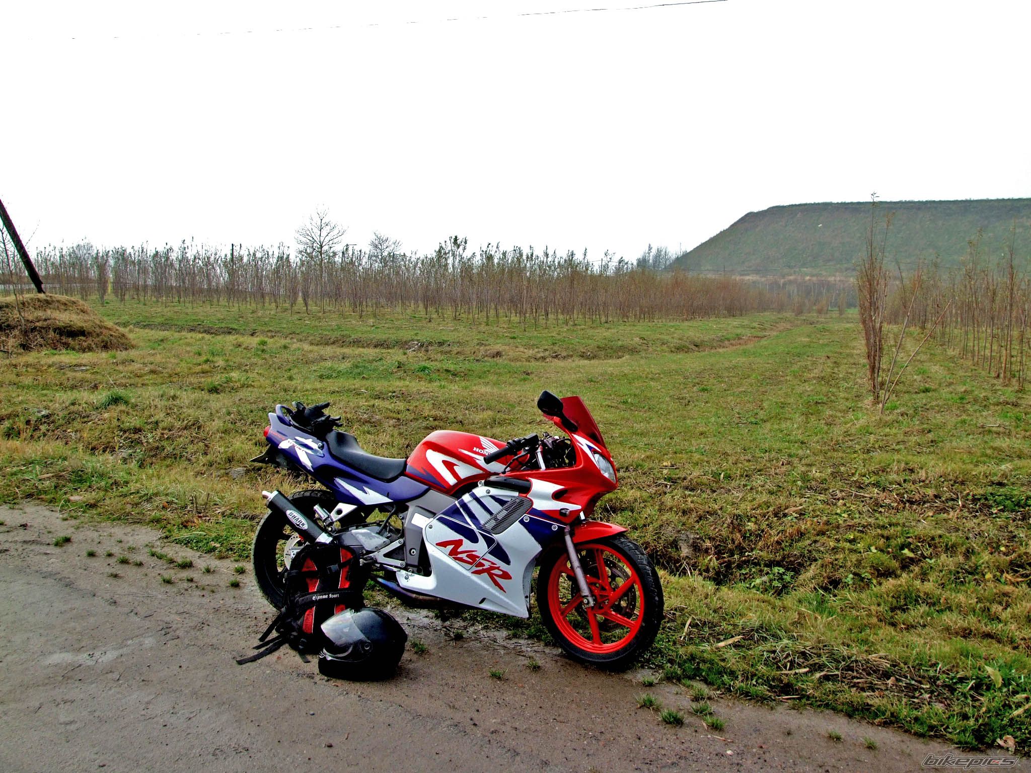 Photo 1834765