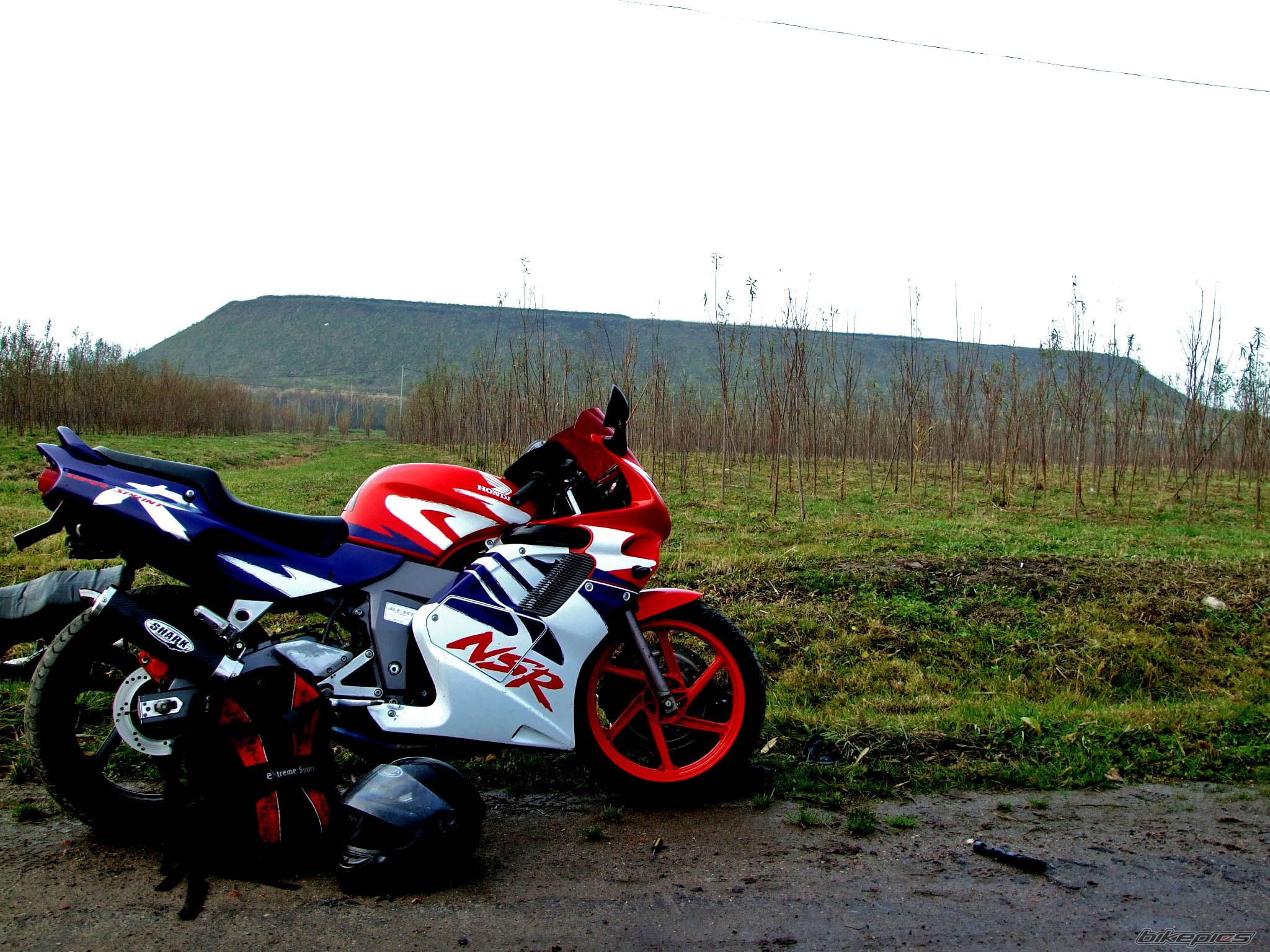 Photo 1834767