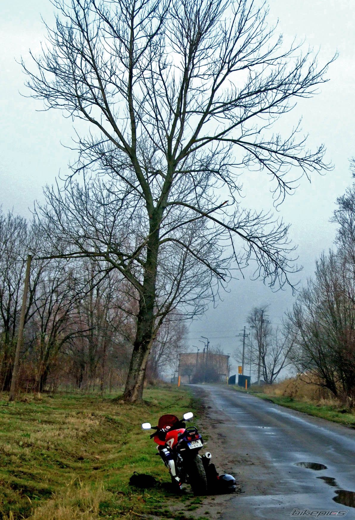 Photo 1834768