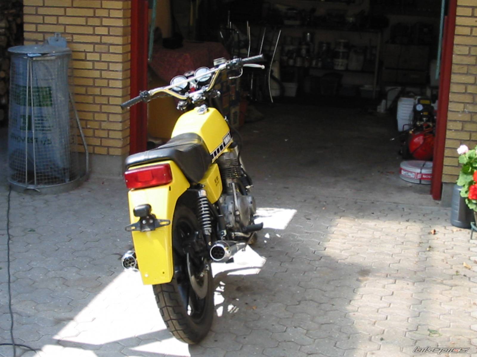 Photo 183481