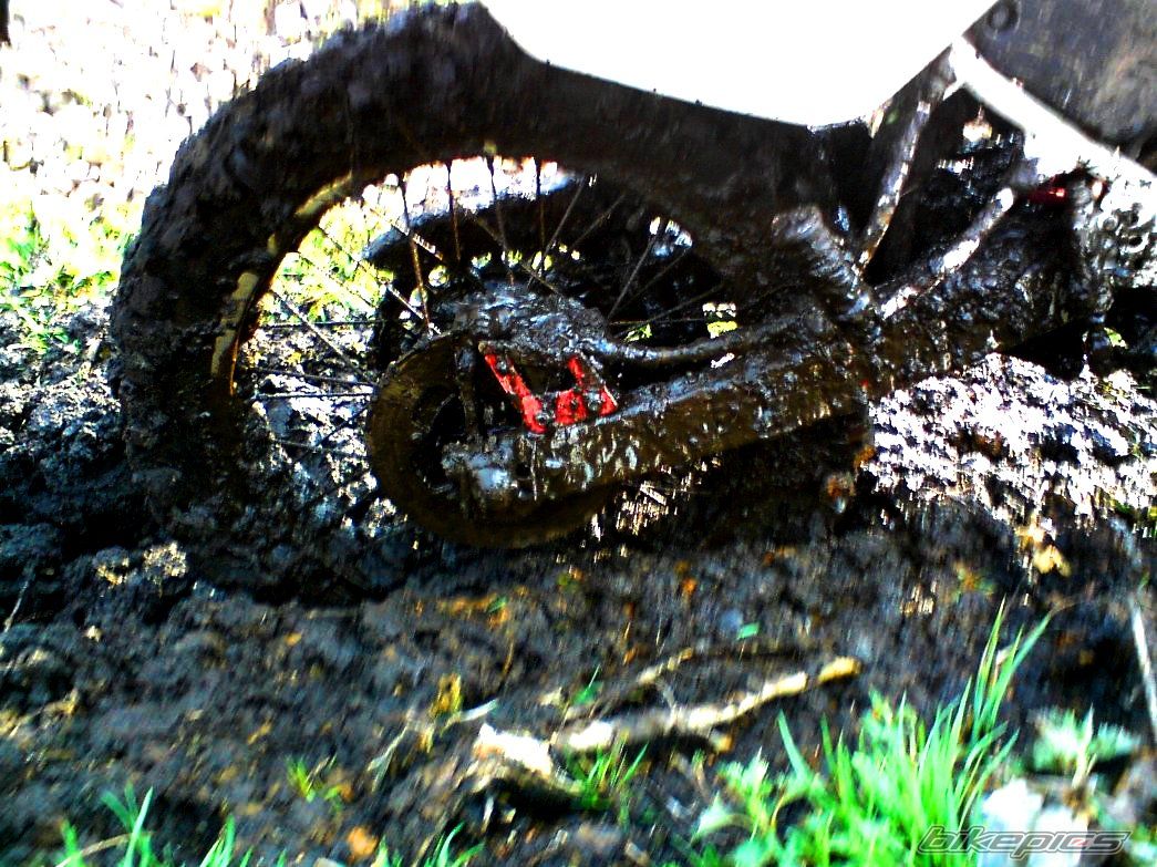 Bike Photo 1834841