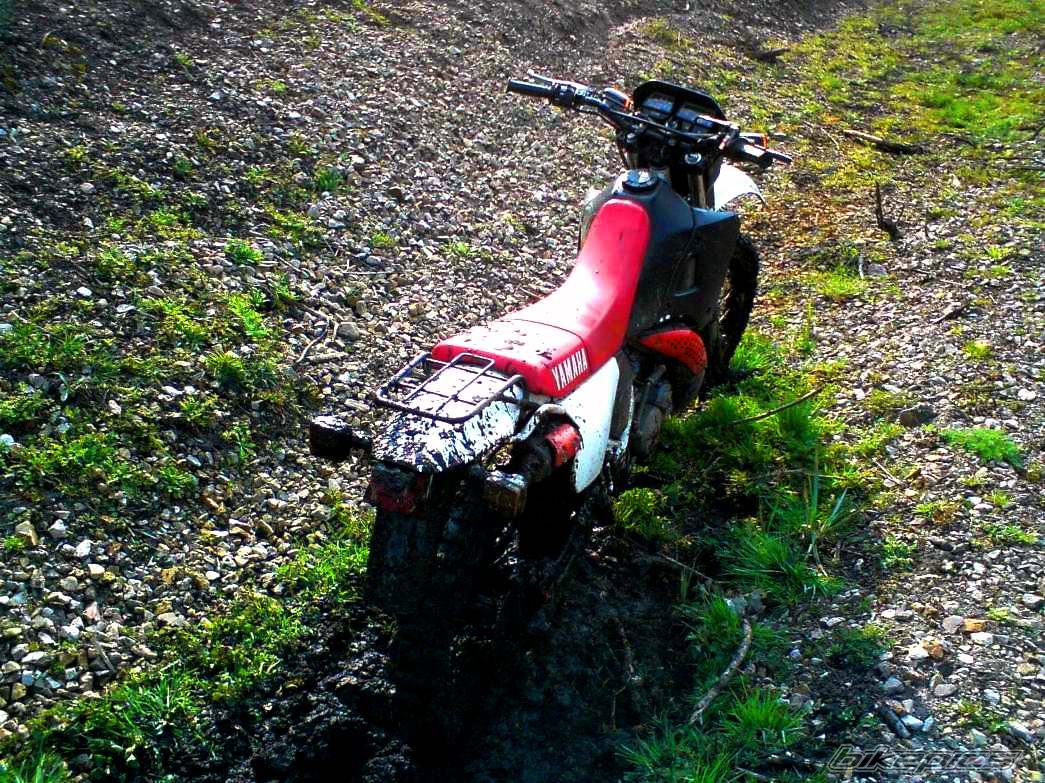 Bike Photo 1834842