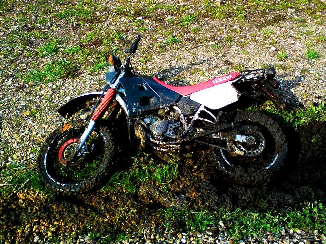Bike Photo 1834843