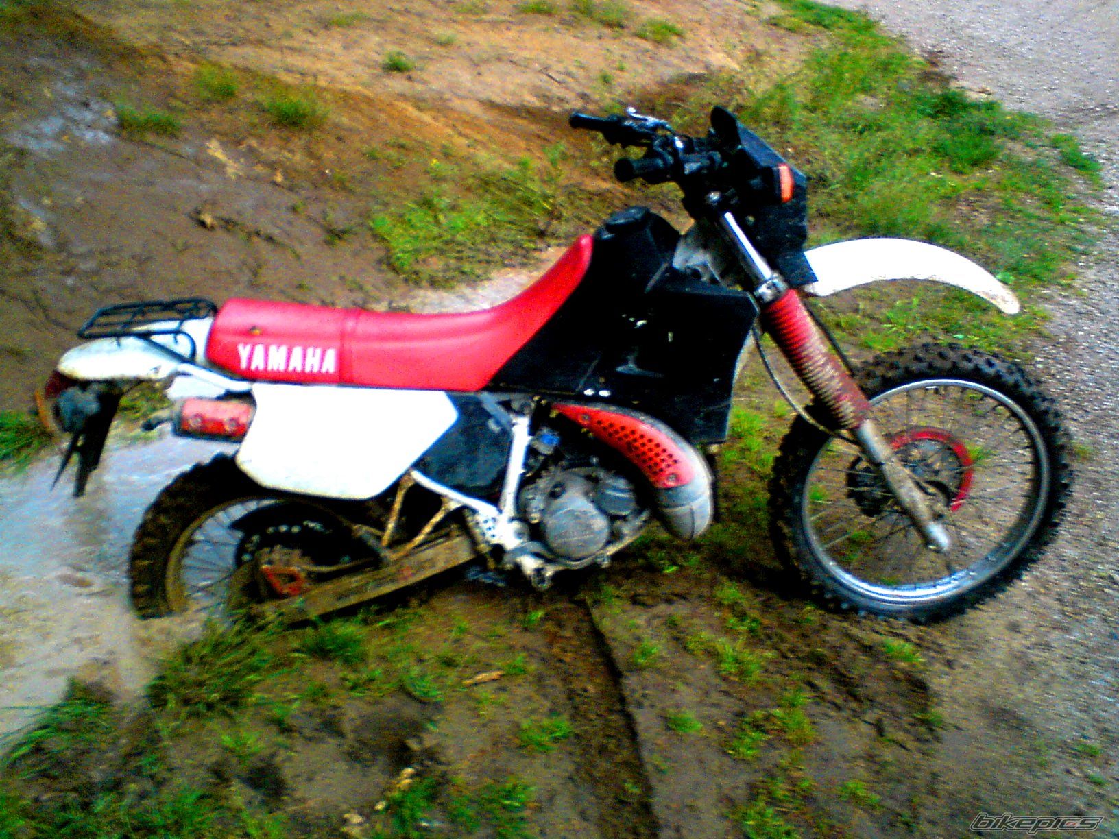 Bike Photo 1834844