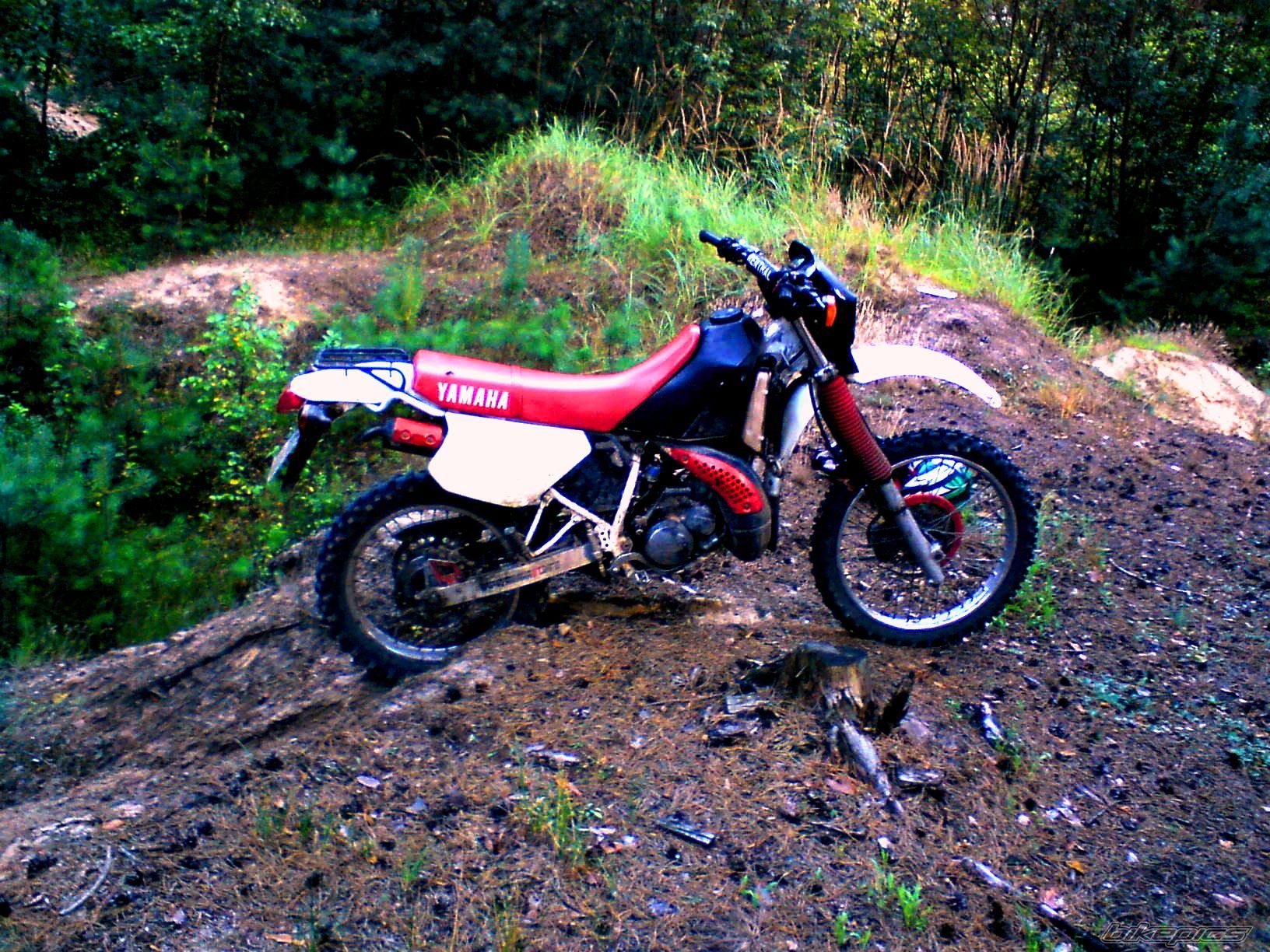 Bike Photo 1834846