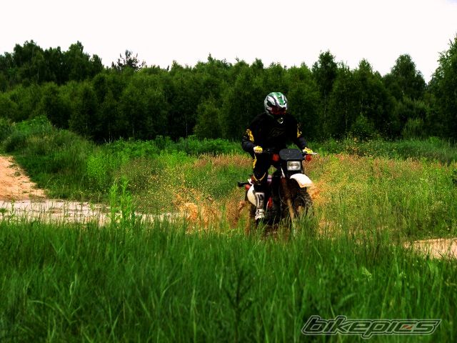 Bike Photo 1834856