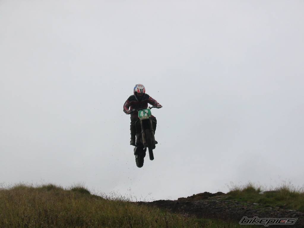 Photo 183486