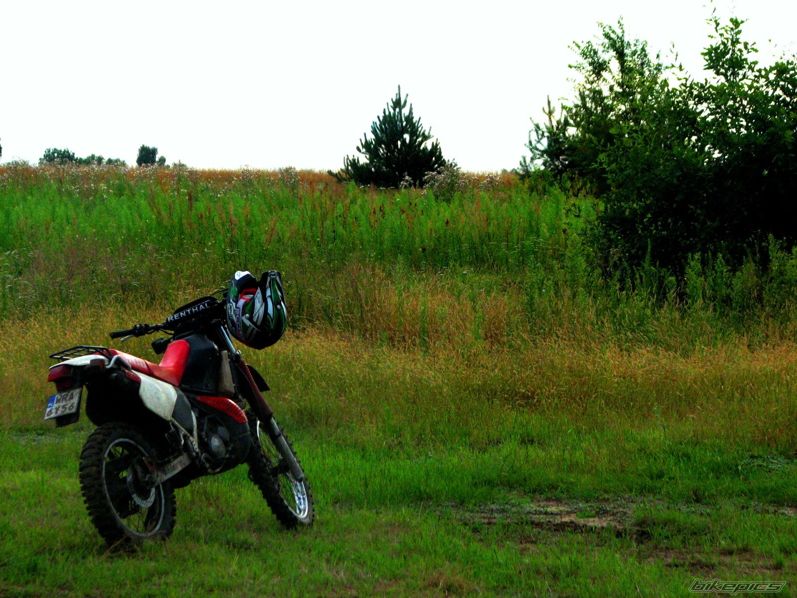 Bike Photo 1834860
