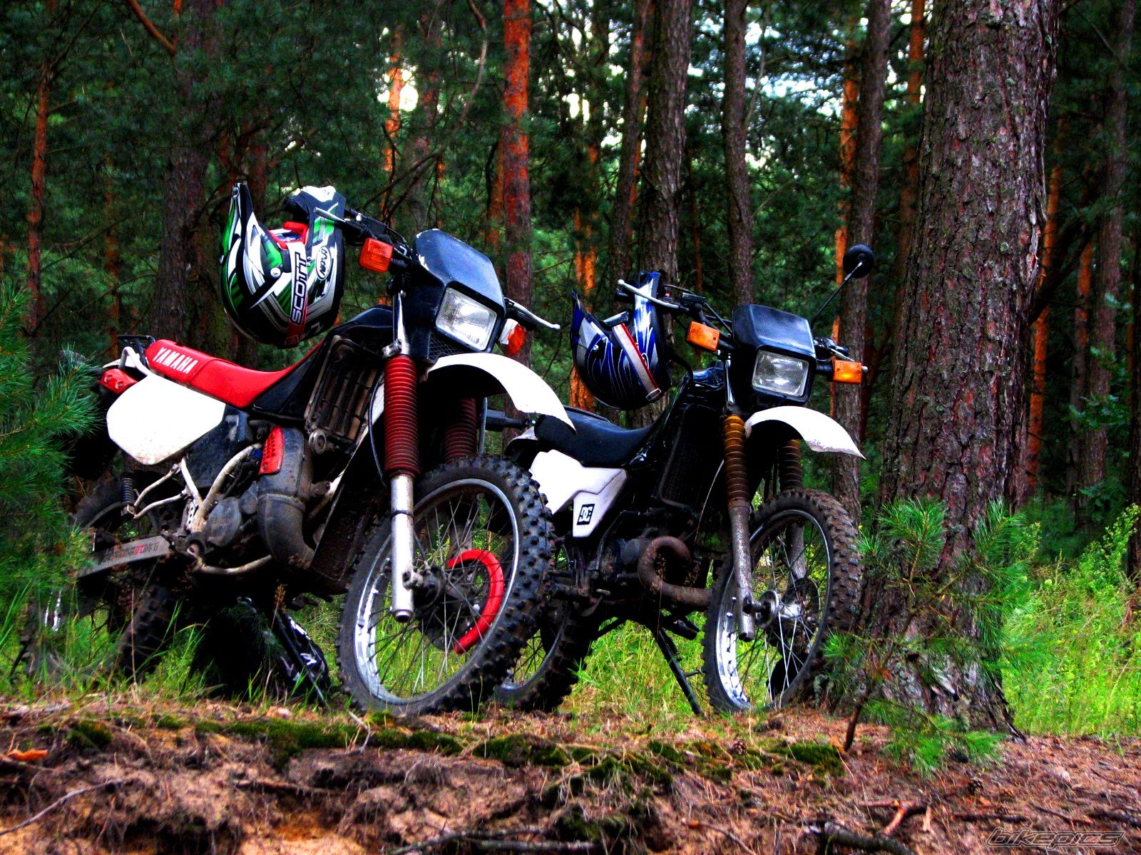 Bike Photo 1834862