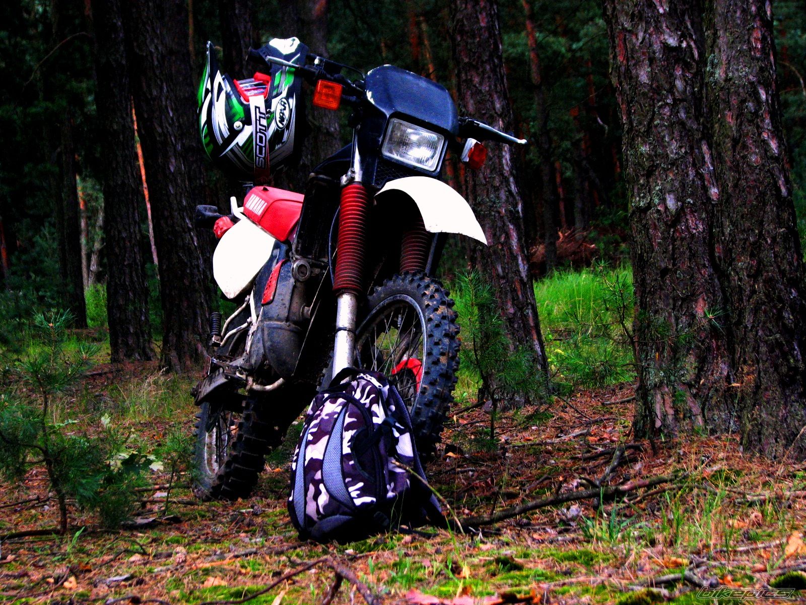 Bike Photo 1834863