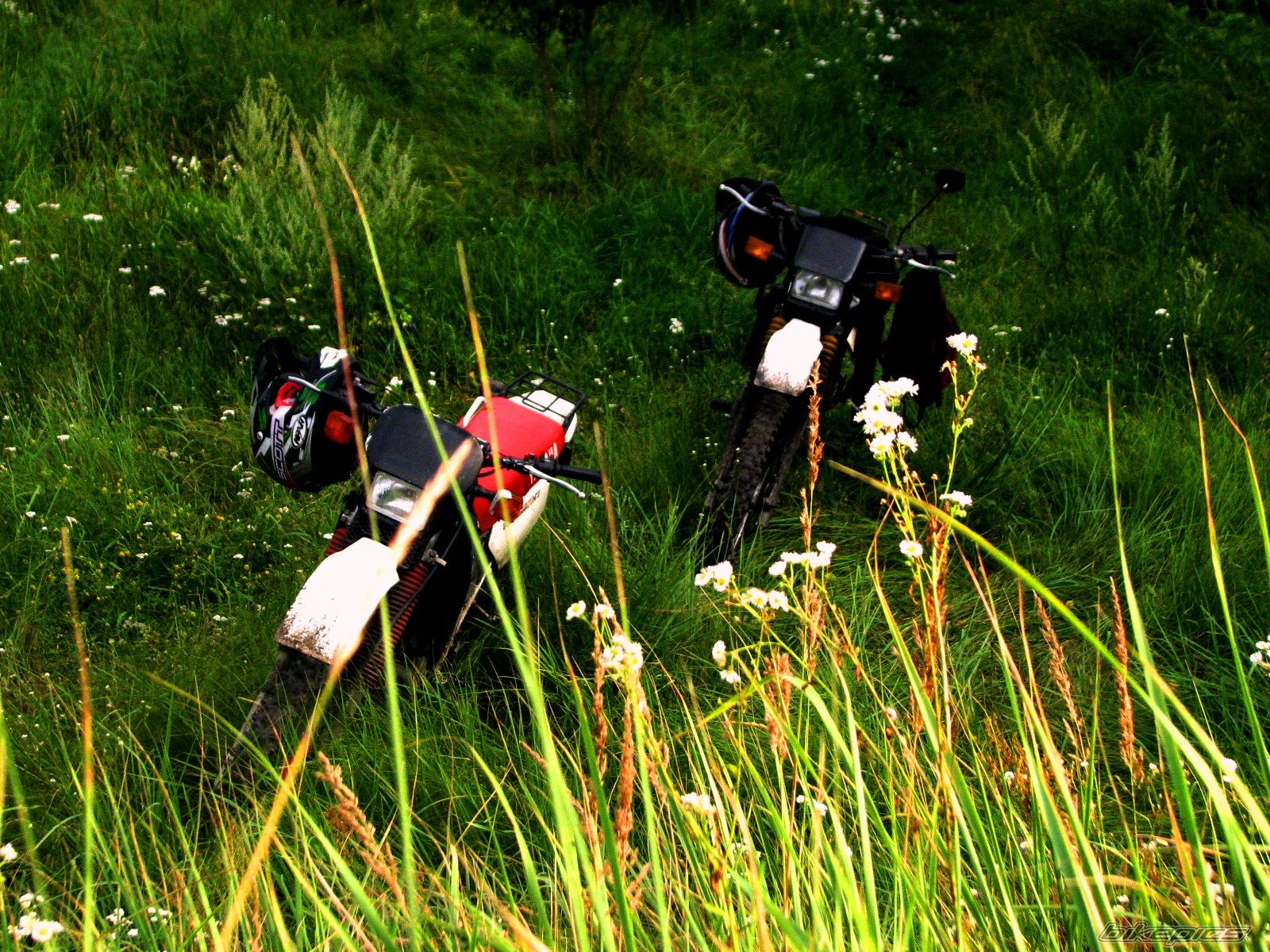 Bike Photo 1834864