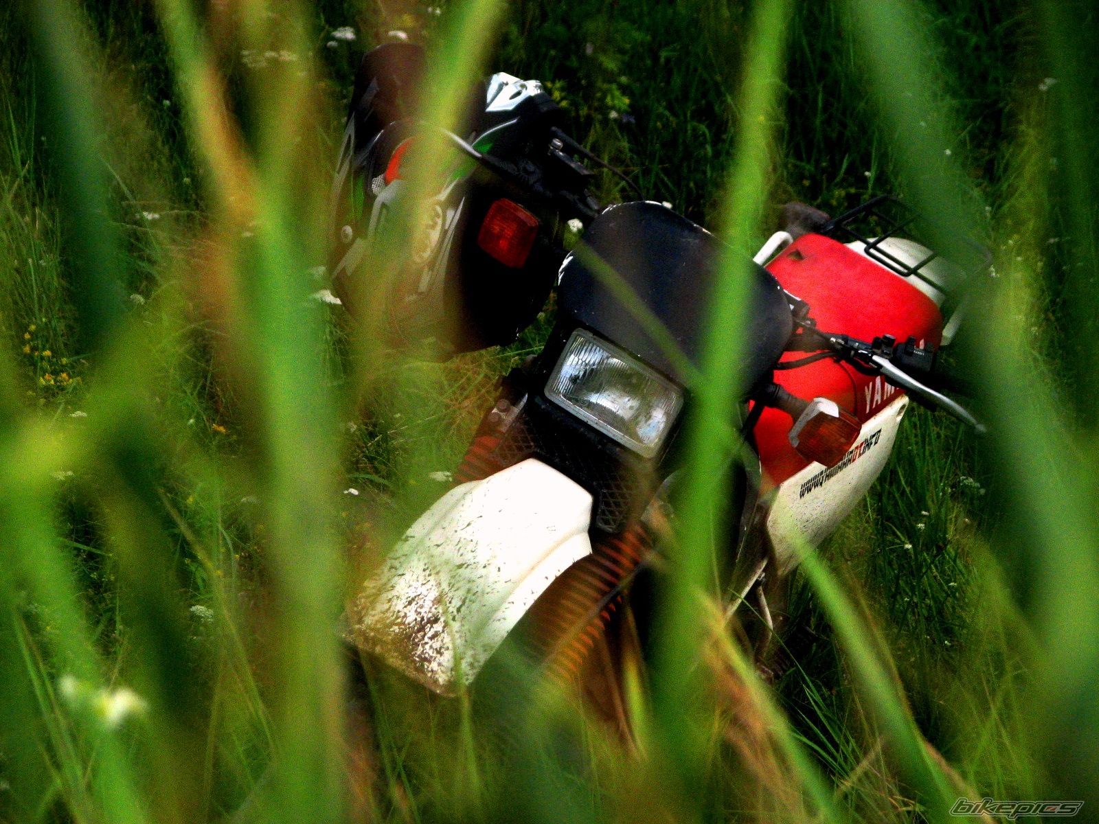 Bike Photo 1834867