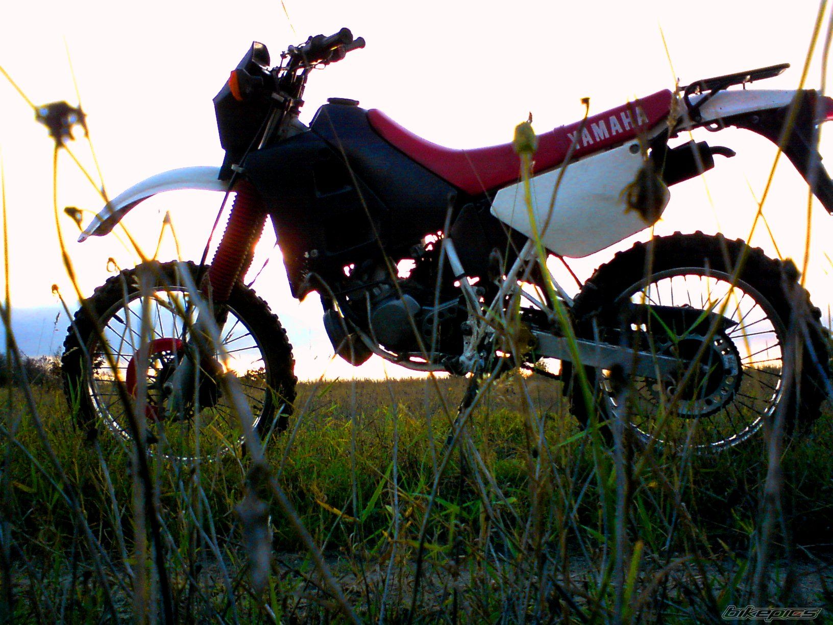 Bike Photo 1834872