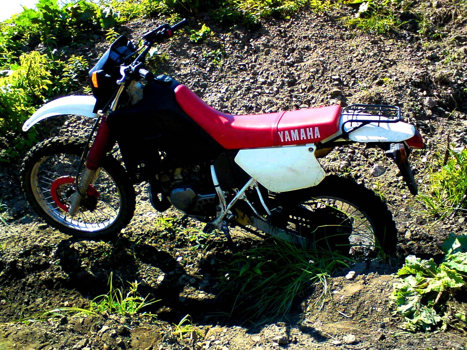 Bike Photo 1834877