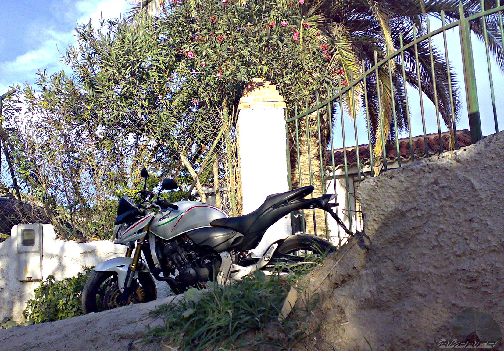 Photo 1834963