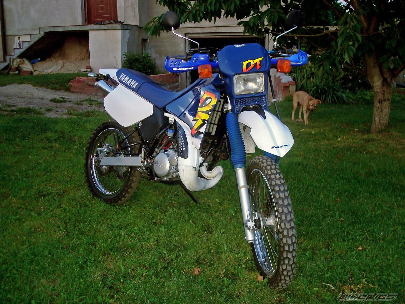 Bike Photo 1835109