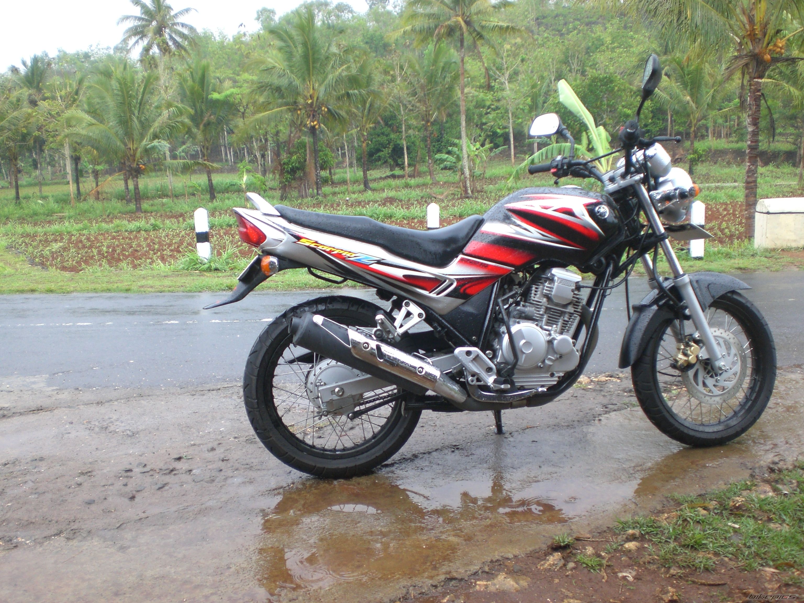 Bike Photo 1835197