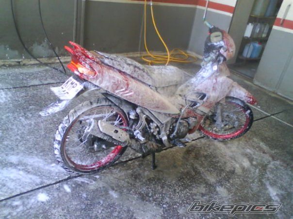 Photo 1835256