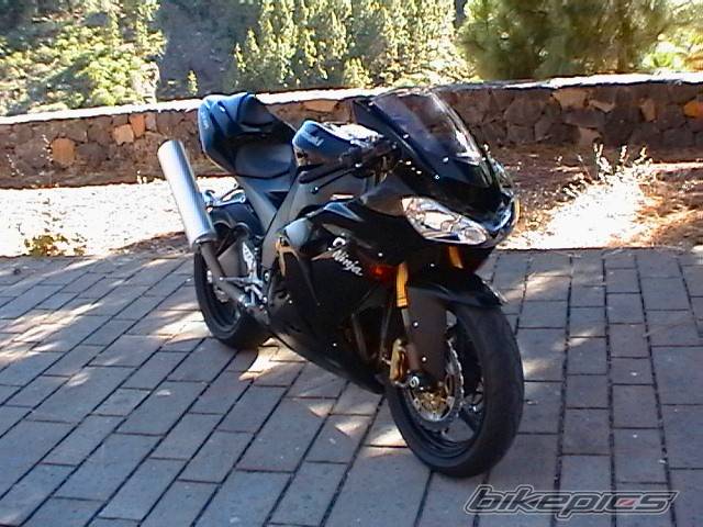 Photo 183558